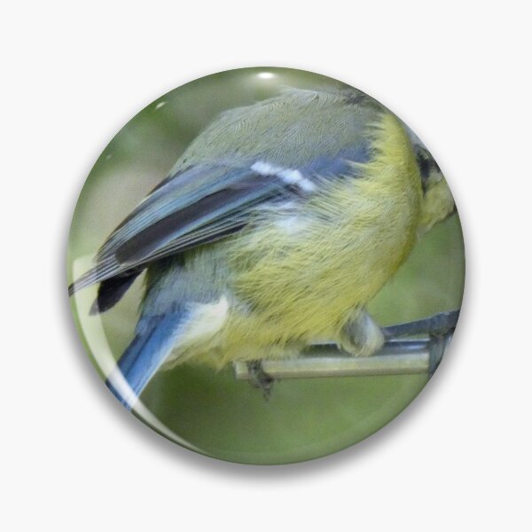 Item preview, blue tit designed and sold by KathleenDawson.