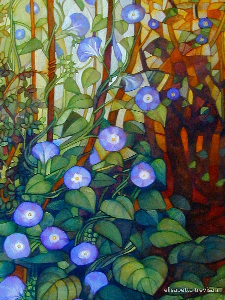 Ipomoea "caerulea blue" by betta