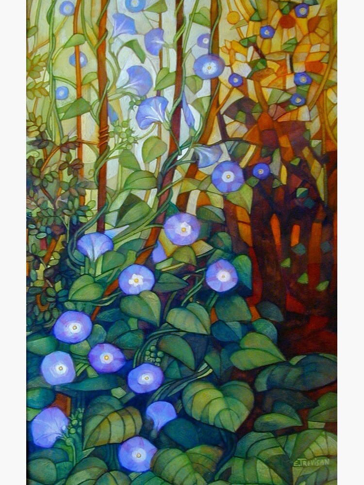 Ipomoea "caerulea blue" by betta