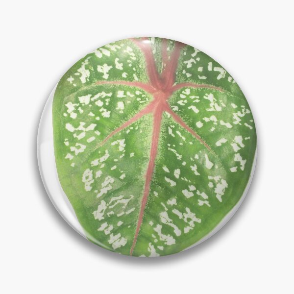 Item preview, leaf_png designed and sold by GEANart.