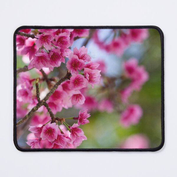 Item preview, Sakura designed and sold by justchui.