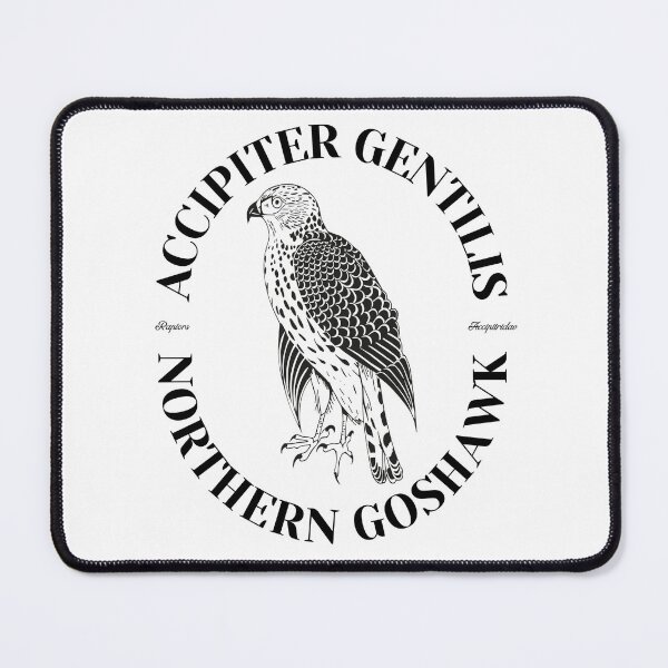 Item preview, Northern Goshawk Accipiter Gentilis designed and sold by hassukissa.