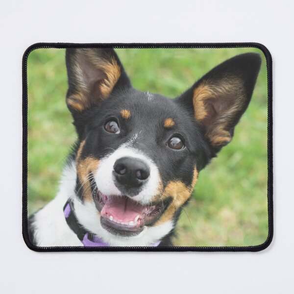 Happy Dog Mouse Pad