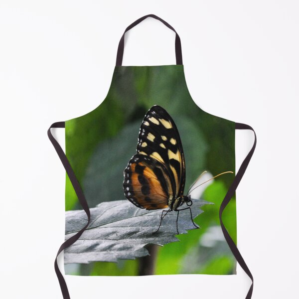 Item preview, Contemplating Butterfly designed and sold by MissJades.