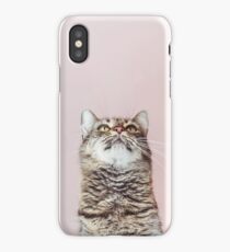 Beautiful cat looking up iPhone Case