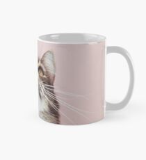 Beautiful cat looking up Mug