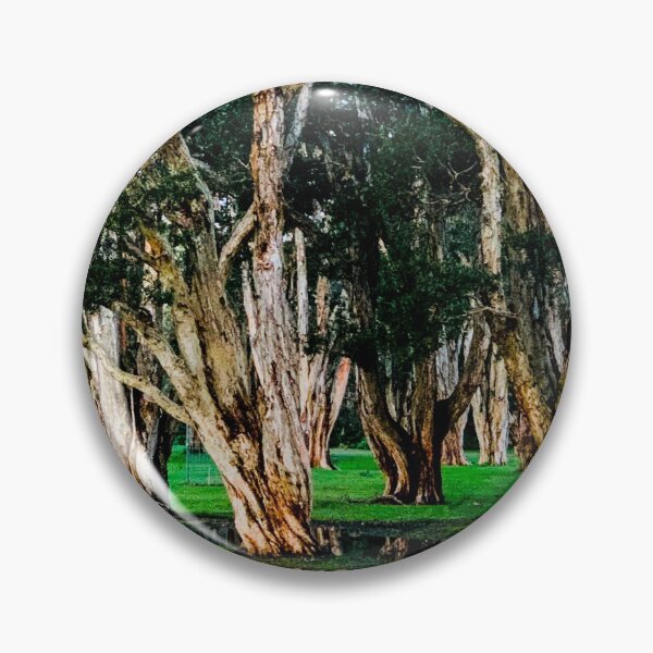Item preview, Majestic Paperbark Trees Reflection designed and sold by mariagram17.