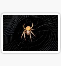Spider Sticker