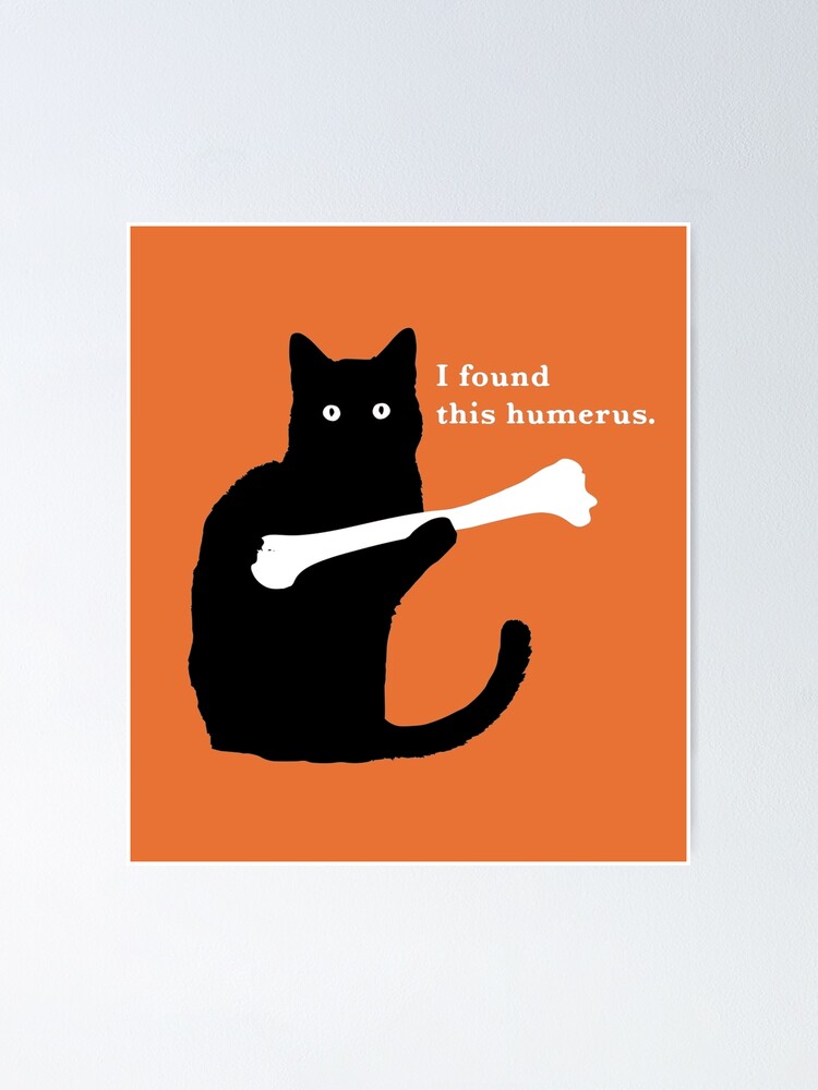 Funny Cat, I Found This Humerus