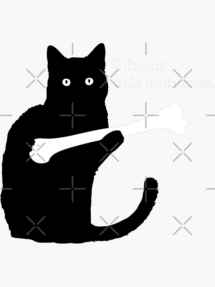 Funny Cat, I Found This Humerus