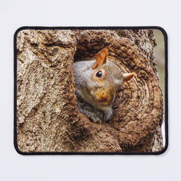 Item preview, Cute Squirrel #0004 designed and sold by Jeffrey Mask.