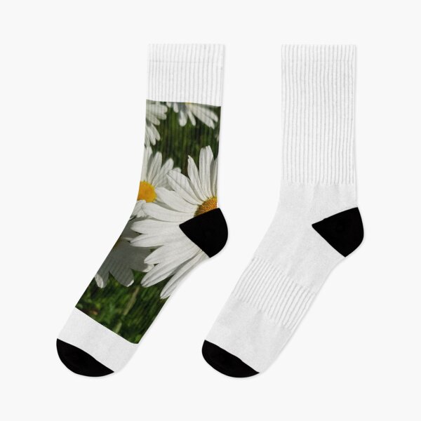 Artikelvorschau, Gänseblümchenblumen Morgensonne entworfen und verkauft von fibre30.