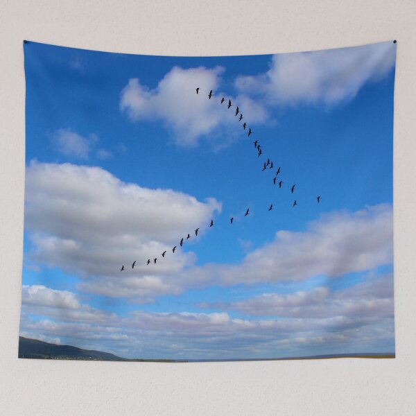 Item preview, Homeward Bound designed and sold by locustgirl.
