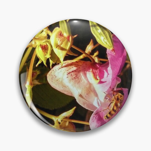 Item preview, Looking - A View  designed and sold by Carl Gaynor.