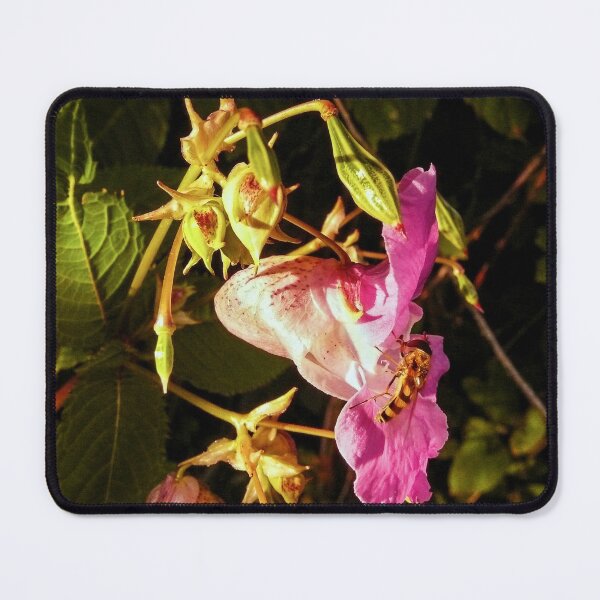 Item preview, Looking - A View  designed and sold by Carl Gaynor.