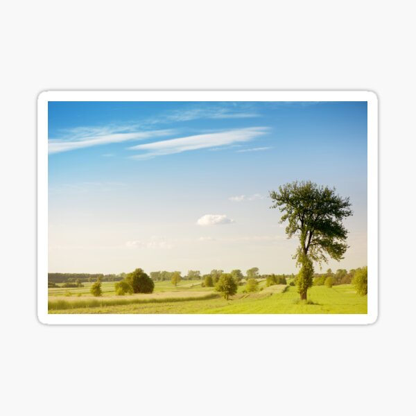 Rural grassland trees view Sticker