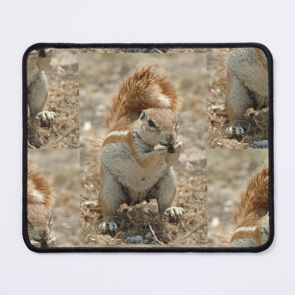 Item preview, Ground Squirrel designed and sold by quentinjlang.