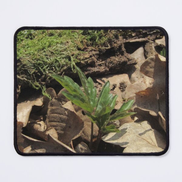 Item preview, Macro leaf designed and sold by Ricisshop.