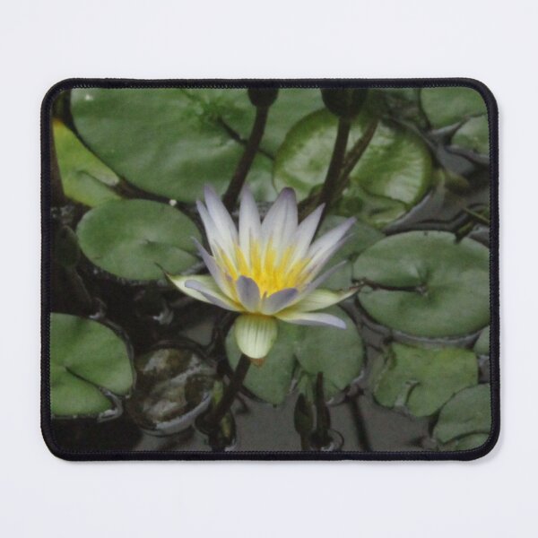 Item preview, waterlily designed and sold by Ricisshop.