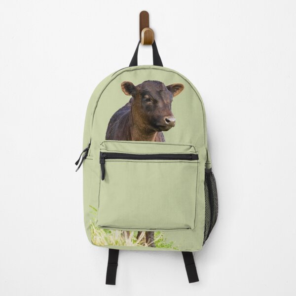 Aperçu de l'œuvre Vache Dexter debout créée et vendue par Jane Stanley Photography.