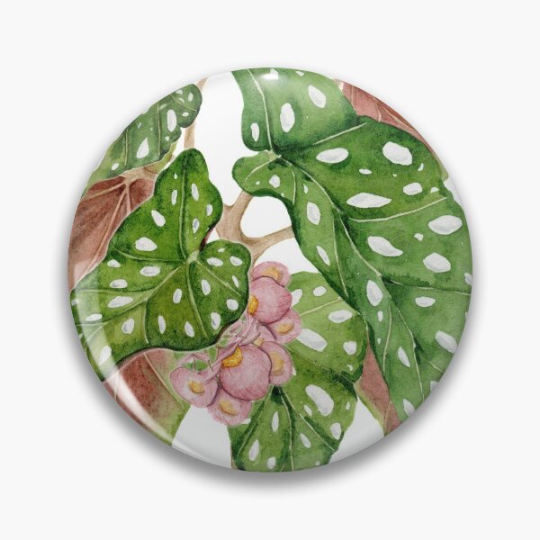 Item preview, Begonia plant designed and sold by PetitMartin.