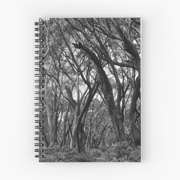 Item preview, Which Way Out designed and sold by AGDimages.
