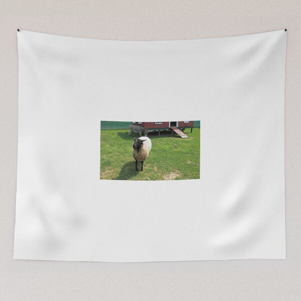 Item preview, "... Givin' Me the Evil Eye"... prints and products designed and sold by Bob Hall©.