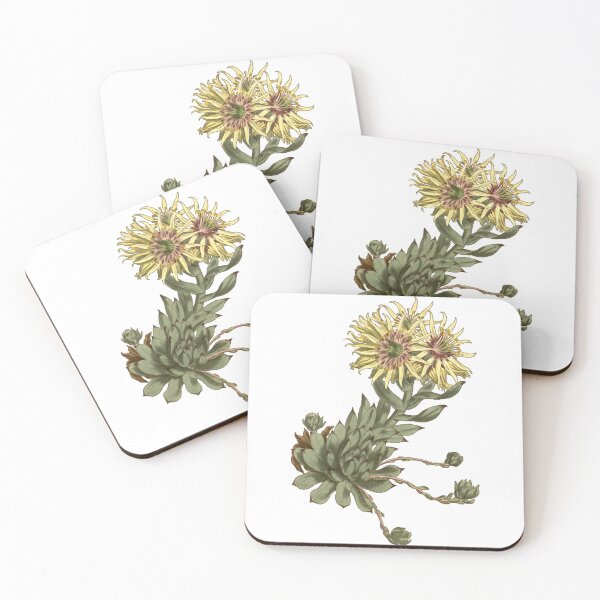Item preview, Rolling hen-and-chicks - Flower art designed and sold by AlexSin.