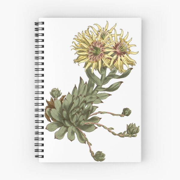 Item preview, Rolling hen-and-chicks - Flower art designed and sold by AlexSin.