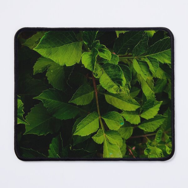 Item preview, Green Leaves designed and sold by trotilwalnut.