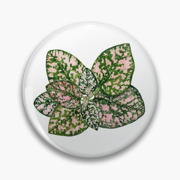 Item preview, Pink Hypoestes plant designed and sold by PetitMartin.