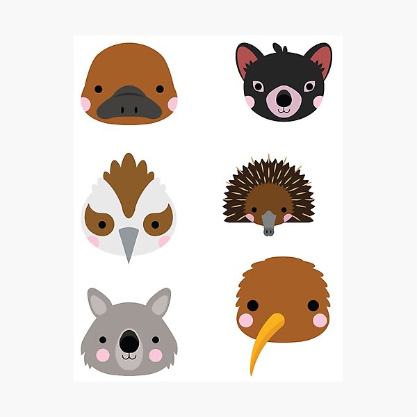Item preview, Australian Animals vol. 1 designed and sold by OutofFocusShop.