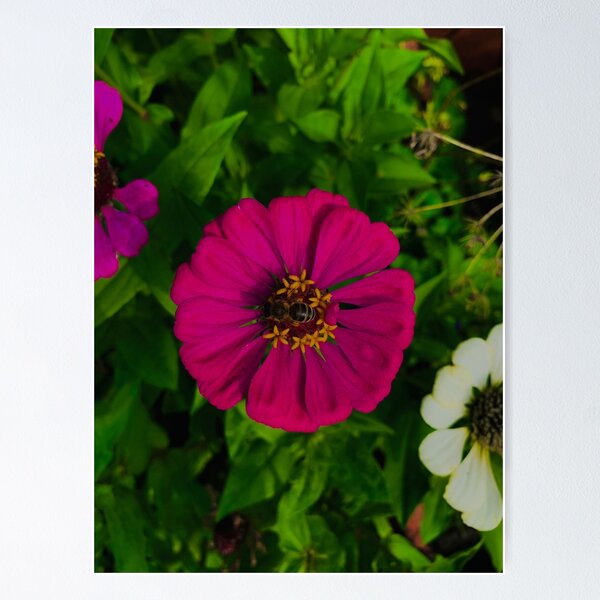 Item preview, Worker Bee designed and sold by trotilwalnut.
