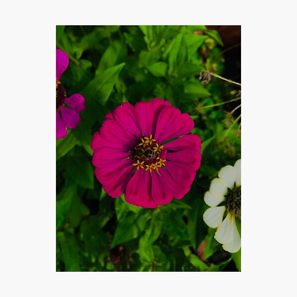 Item preview, Worker Bee designed and sold by trotilwalnut.