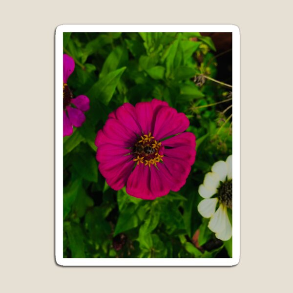 Item preview, Worker Bee designed and sold by trotilwalnut.