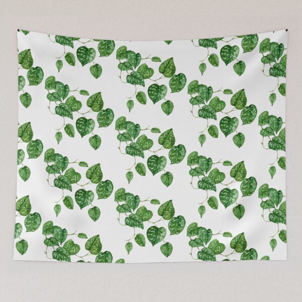 Item preview, Scindapsus plant/ pothos manjula designed and sold by PetitMartin.