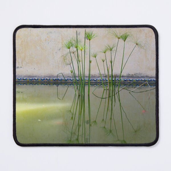 Item preview, Reflecting in a pool at the Alcazar designed and sold by Mark Prior.
