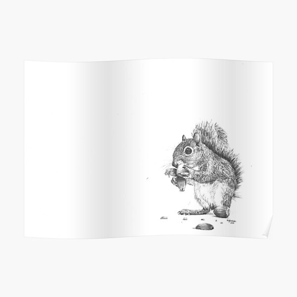 Picnic The Squirrel Poster