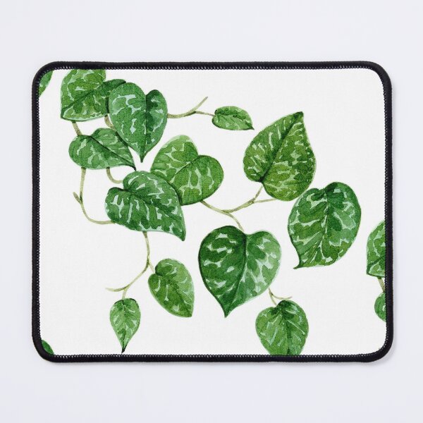 Item preview, Scindapsus plant/ pothos manjula designed and sold by PetitMartin.