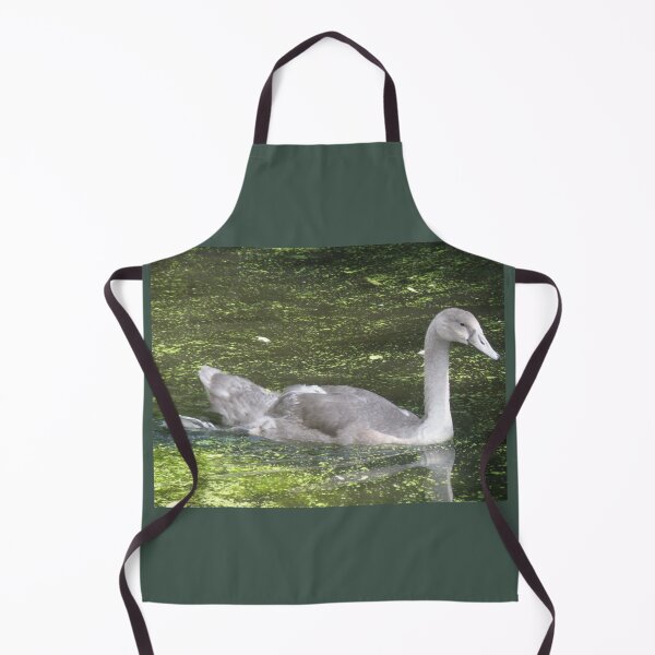 Item preview, Mute Swan Cygnet in the Sunshine Photograph designed and sold by naturegallery.