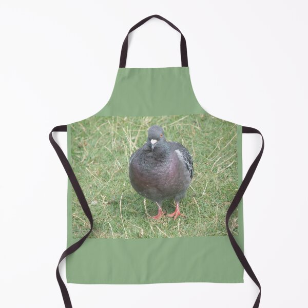 Item preview, Pretty Feral Pigeon with Iridescent Feathers Phtoograph designed and sold by naturegallery.