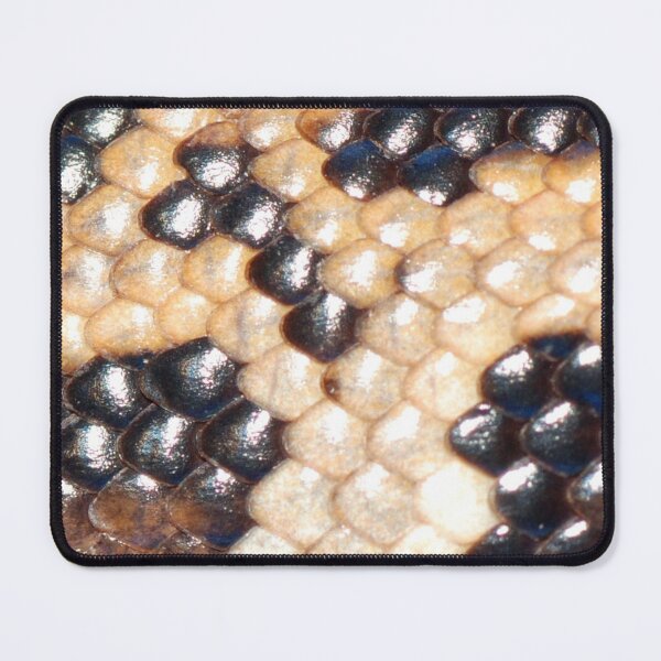 Item preview, Boa Snakeskin Pattern Photo designed and sold by cgroenewald.