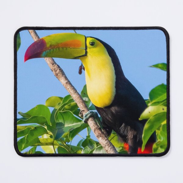 Item preview, Exotic Bird designed and sold by Rickard1234.