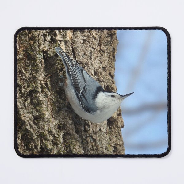 Item preview, White-breasted Nuthatch designed and sold by shotsfromthehip.