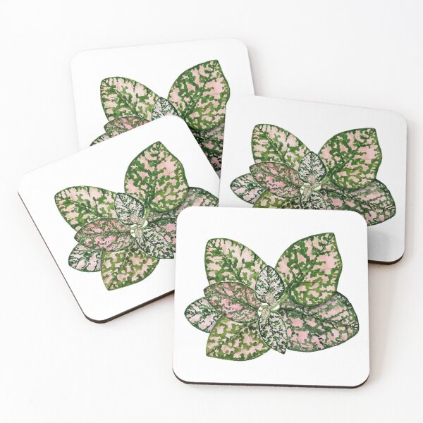 Item preview, Pink Hypoestes plant designed and sold by PetitMartin.