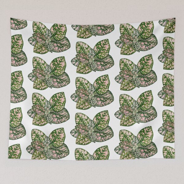 Item preview, Pink Hypoestes plant designed and sold by PetitMartin.