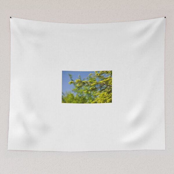 Item preview, Green coniferous new shoots designed and sold by Arletta Cwalina.