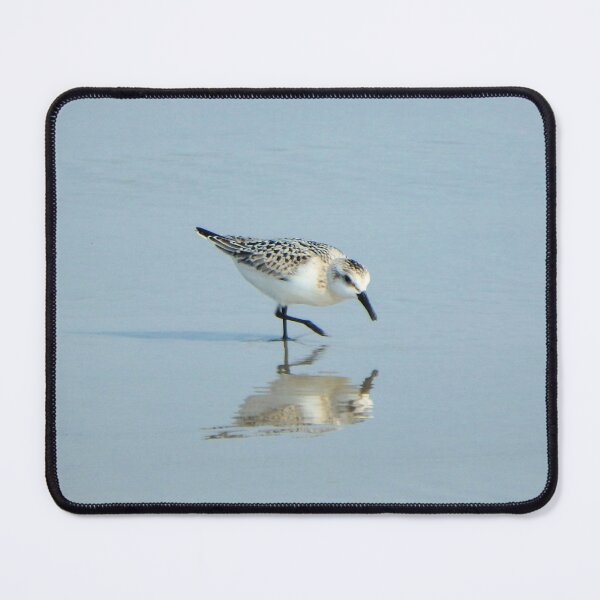 Item preview, Sanderling designed and sold by shotsfromthehip.