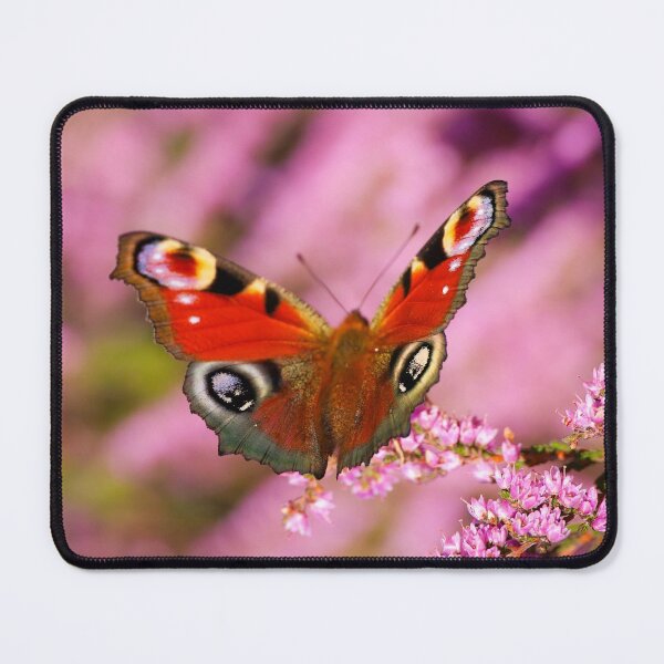 Item preview, Lovely butterfly on a flower designed and sold by Anita van Gendt.