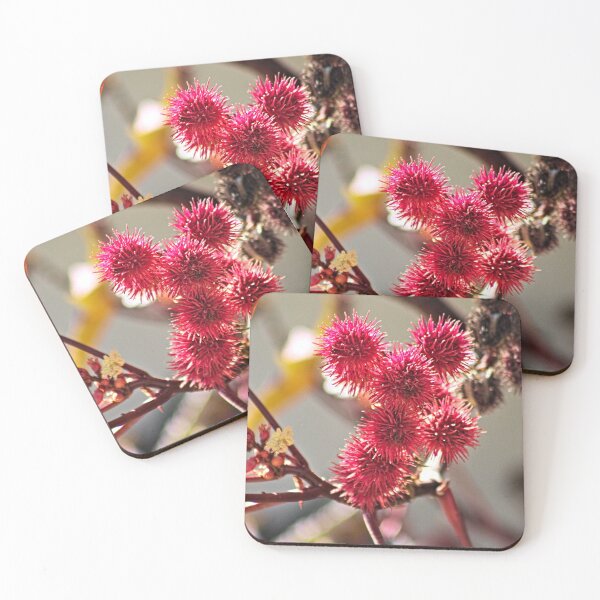 Item preview, Ricinus Fluffy Red Fruit Flowers Castor Oil Plant designed and sold by worldways.